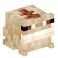 124310-frog-desert