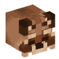 55261-raccoon