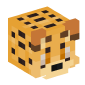 105255-cheetah