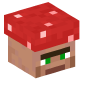 127191-villager-wearing-mushroom