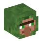 63359-villager-in-zombie-disguise
