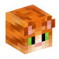 33517-cat