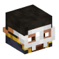 124962-steve-with-iron-mask