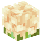 109992-cauliflower