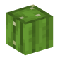 125823-cactus