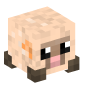 21409-baby-sheep-peach