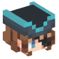 125234-pirate