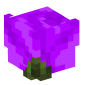 71294-purple-rose