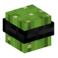 120152-cactus-with-bandana
