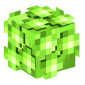 124199-star-bit-green