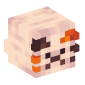 114350-cat