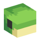 127407-baby-turtle