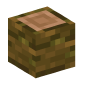122686-jungle-log