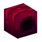 126952-gummy-worm-plum-body