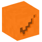 21769-orange-checkmark