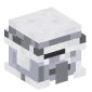 113856-villager-grayed-snowy-cartographer