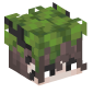 117877-mossy-boy