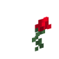 43867-rose