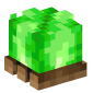 124210-campfire-lime