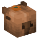 123660-capybara