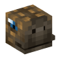 128963-tortoise