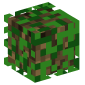 33523-wood-with-leaves