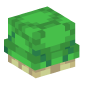126173-turtlellini