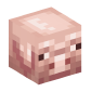 104589-pig