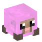 7725-baby-sheep-pink