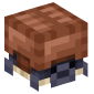 122475-shulker-turtle-brown