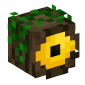 104412-ent-cyclops