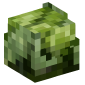 4340-lettuce