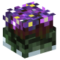 41759-violet-flowerpot-bloom