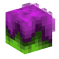 127556-gelatinous-gloop