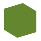 31701-cactus-green-63862e