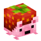 126193-strawberry-hedgehog