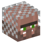 4269-villager-with-chainmail-helmet