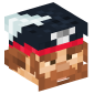 102875-pirate