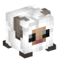 85202-baby-sheep-white