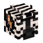 12637-zebra