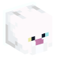 39011-collared-white-cat-white