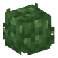 115670-bush