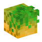 109623-pineapple