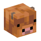 127451-baby-cow-cold