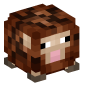 112160-earthquake-sheep