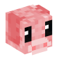 105242-pig
