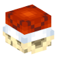 124234-red-shell