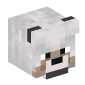 101517-pale-wolf
