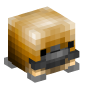 113627-platypus