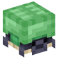 122463-shulker-turtle-green